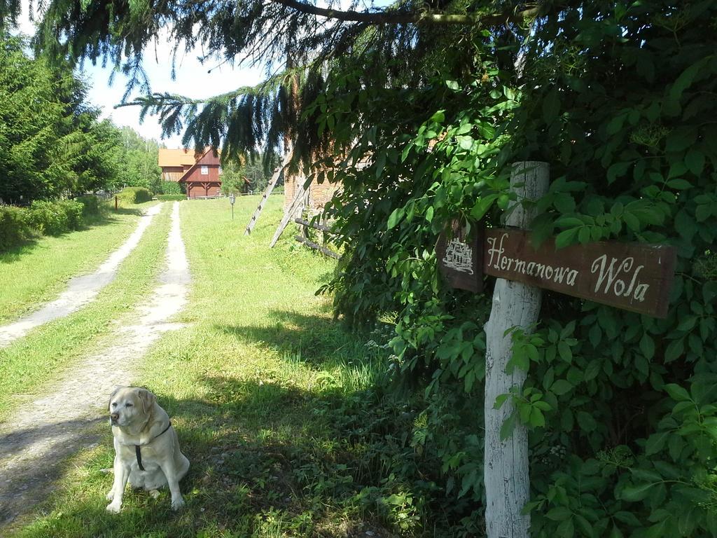 Willa Hermanowka Ryn  Exterior photo